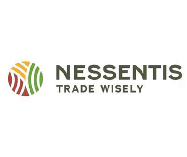 Nessentis Logo